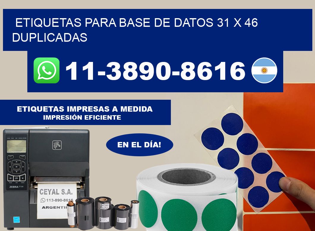 etiquetas para base de datos 31 x 46 duplicadas