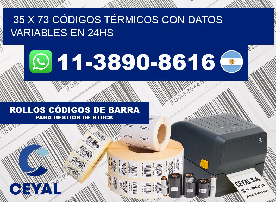 35 x 73 CÓDIGOS TÉRMICOS CON DATOS VARIABLES EN 24HS
