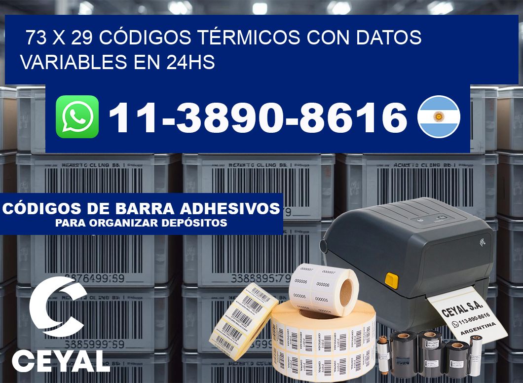 73 x 29 CÓDIGOS TÉRMICOS CON DATOS VARIABLES EN 24HS