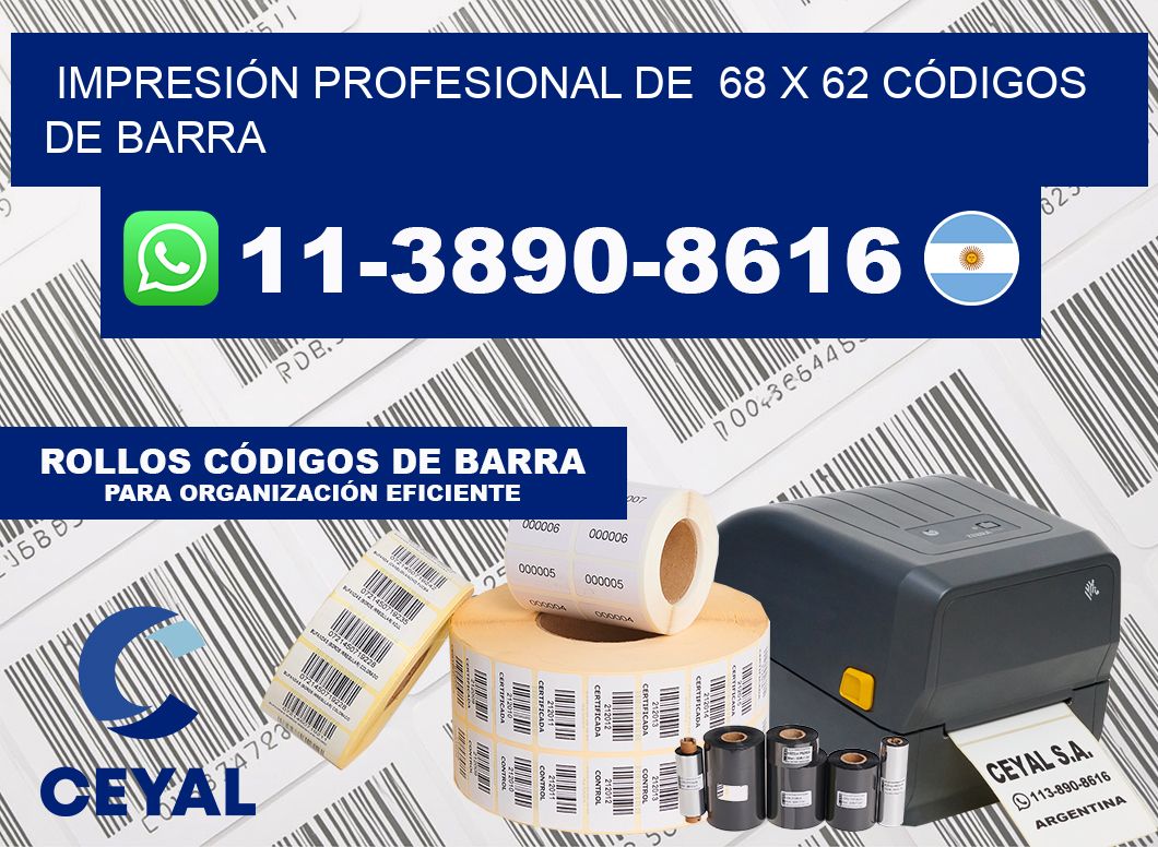 IMPRESIÓN PROFESIONAL DE  68 x 62 CÓDIGOS DE BARRA