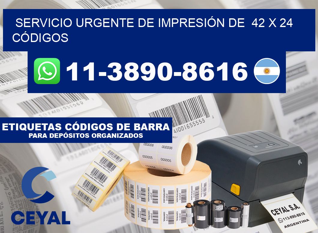 SERVICIO URGENTE DE IMPRESIÓN DE  42 x 24 CÓDIGOS