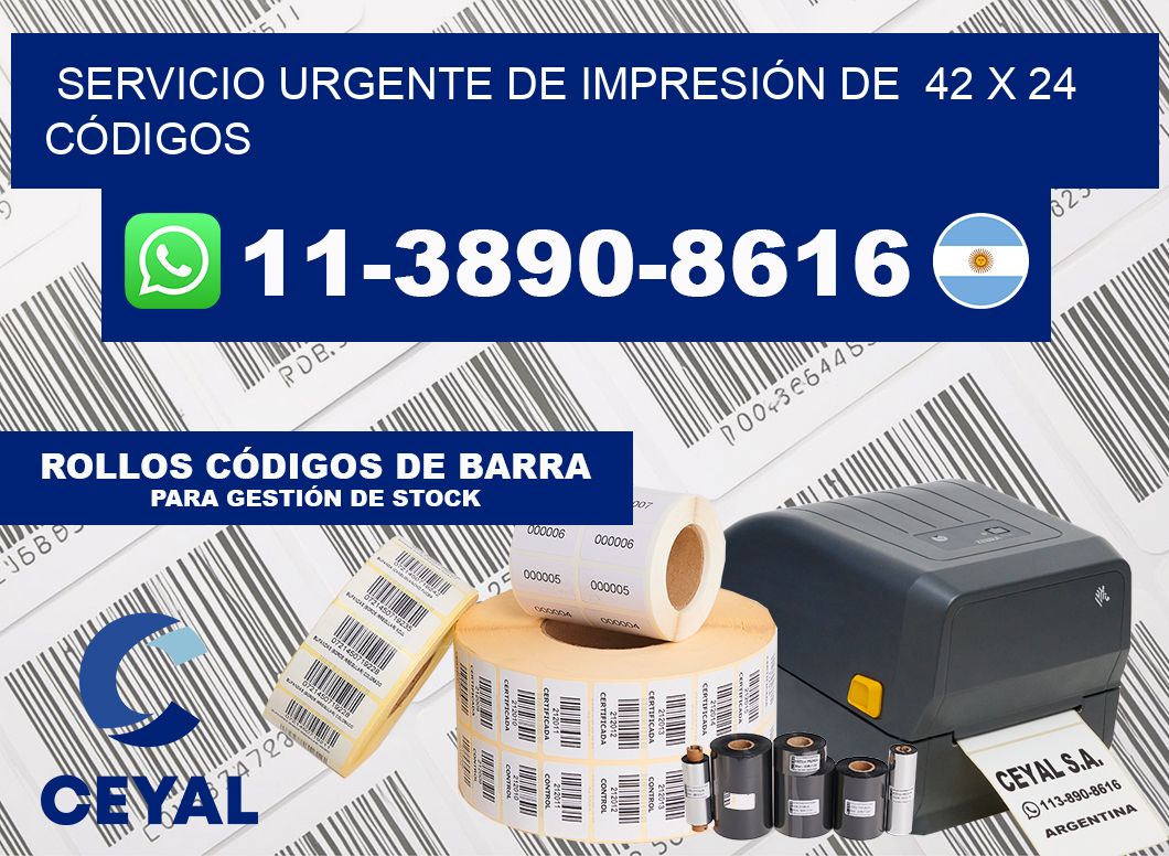 SERVICIO URGENTE DE IMPRESIÓN DE  42 x 24 CÓDIGOS