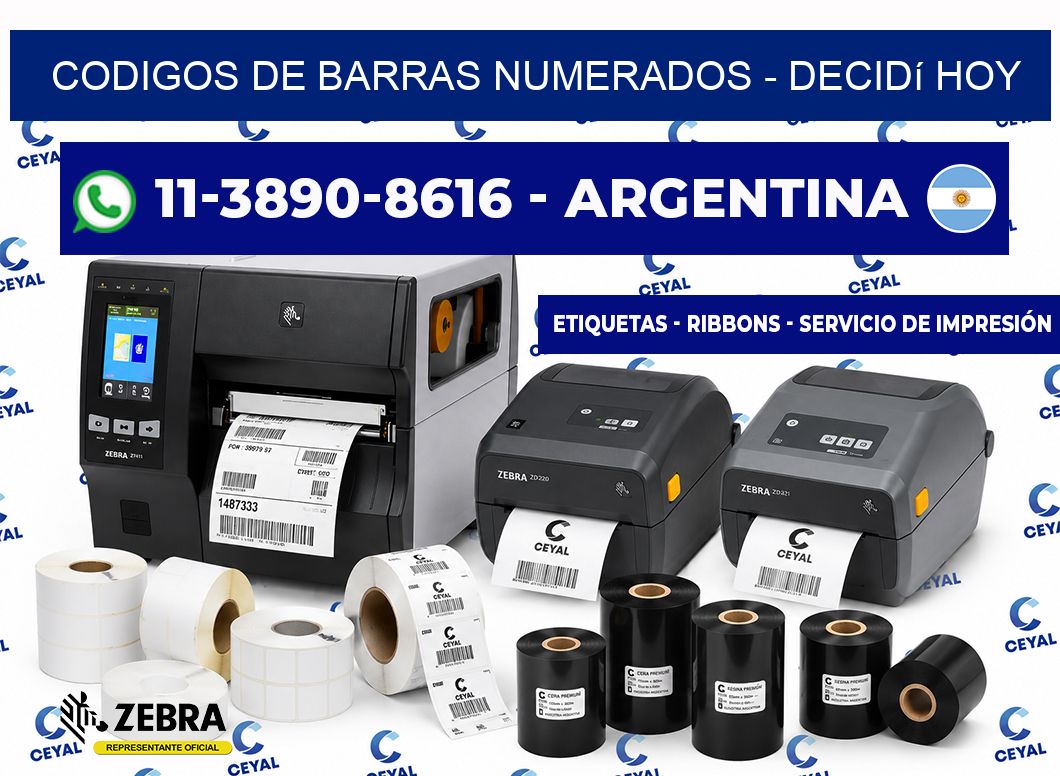 codigos de barras numerados - Decidí hoy